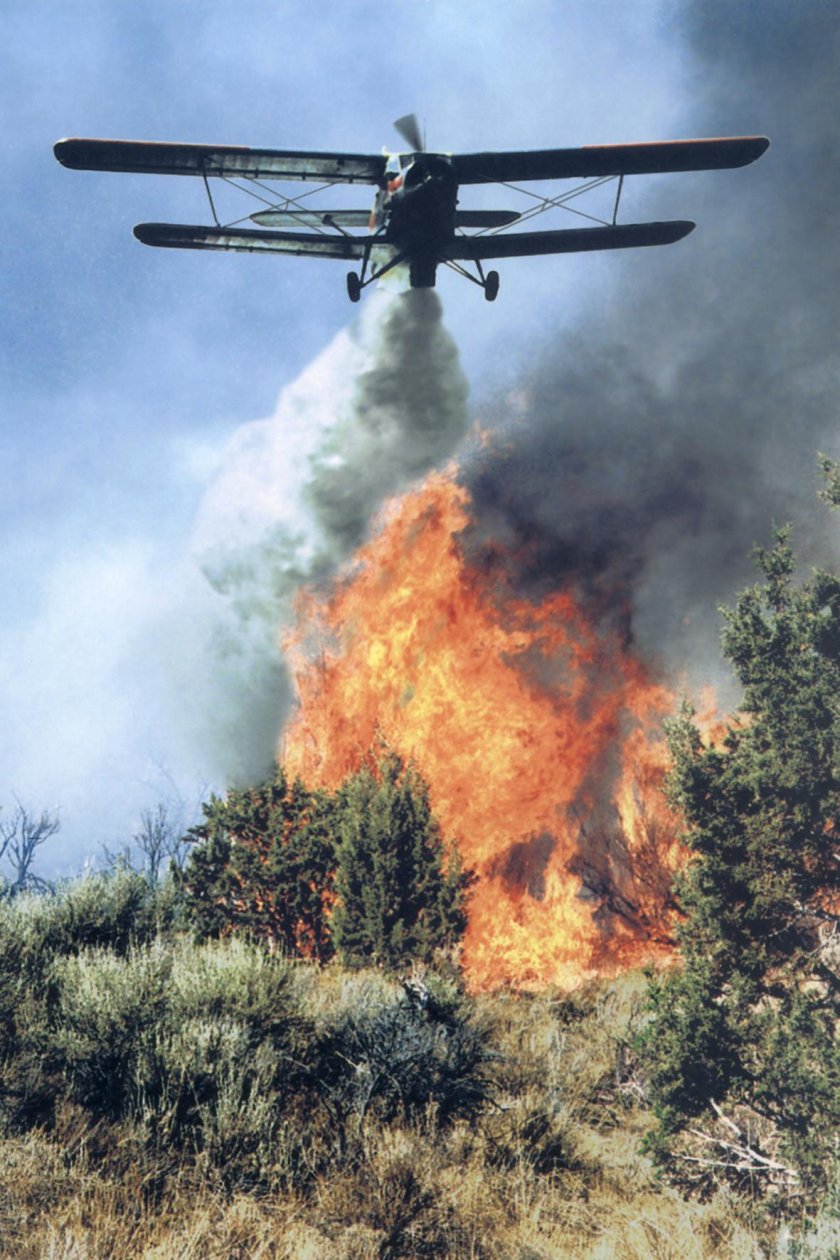 Тушение лесных пожаров