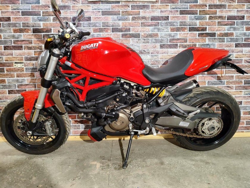 Ducati monster