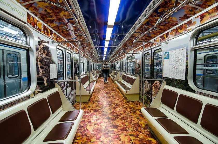 Московский метрополитен вагоны метро
