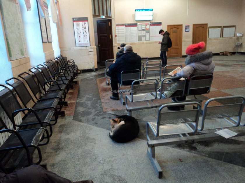 Чехов ЖД станция