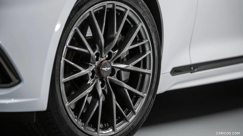 R 20 диски на Genesis g80