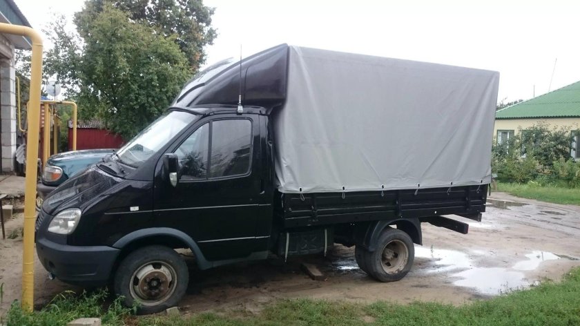 Черная Газель фермер