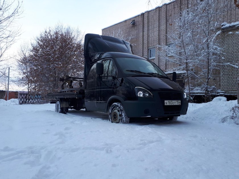 Черная Газель фермер