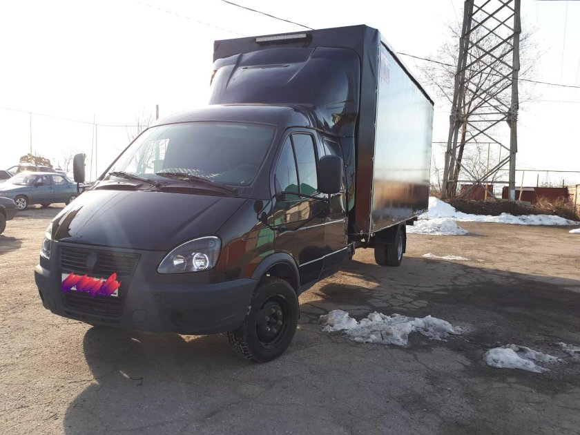 Черная Газель