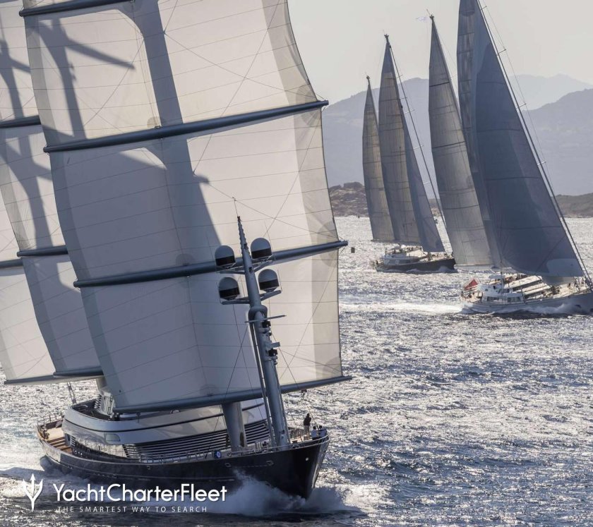 Мальтис Фалькон