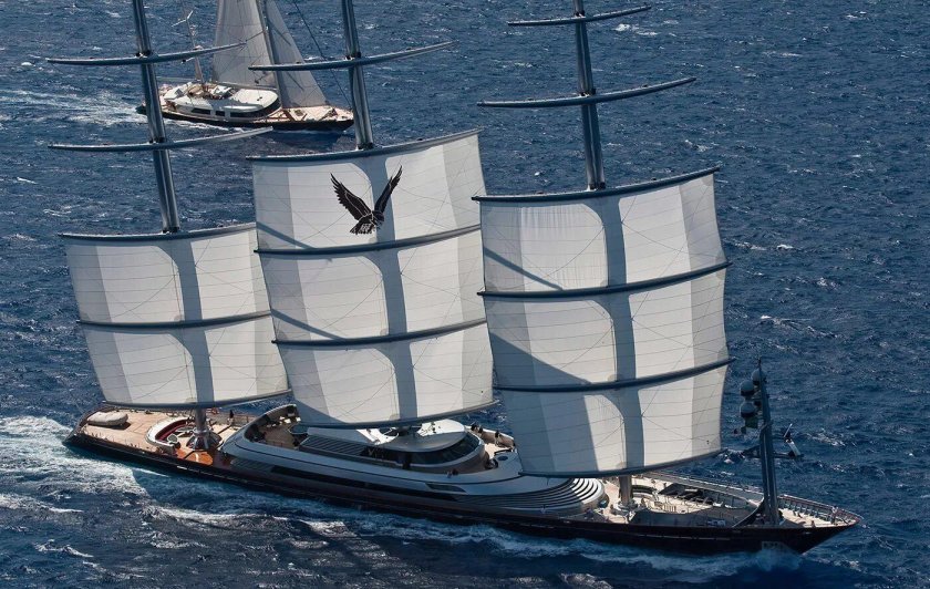 Мальтис Фалькон