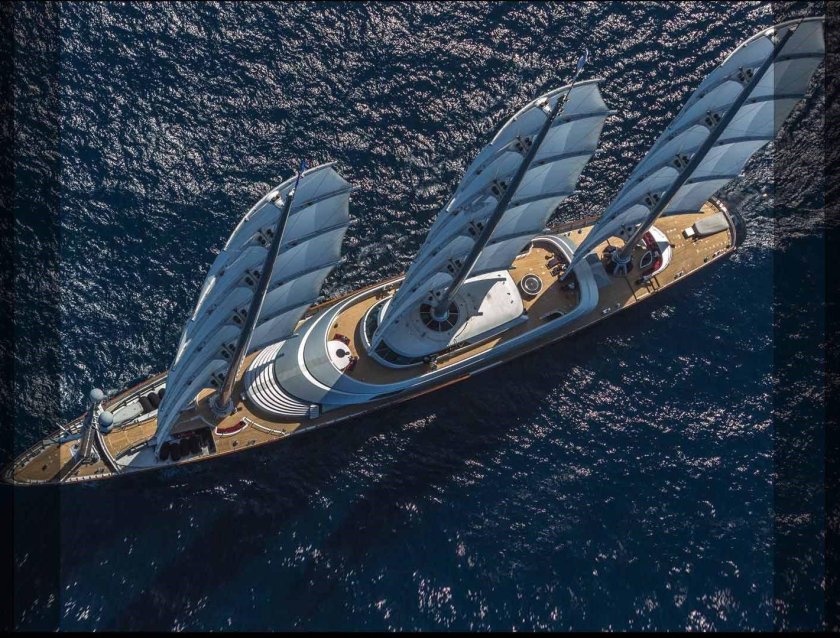 Мальтис Фалькон