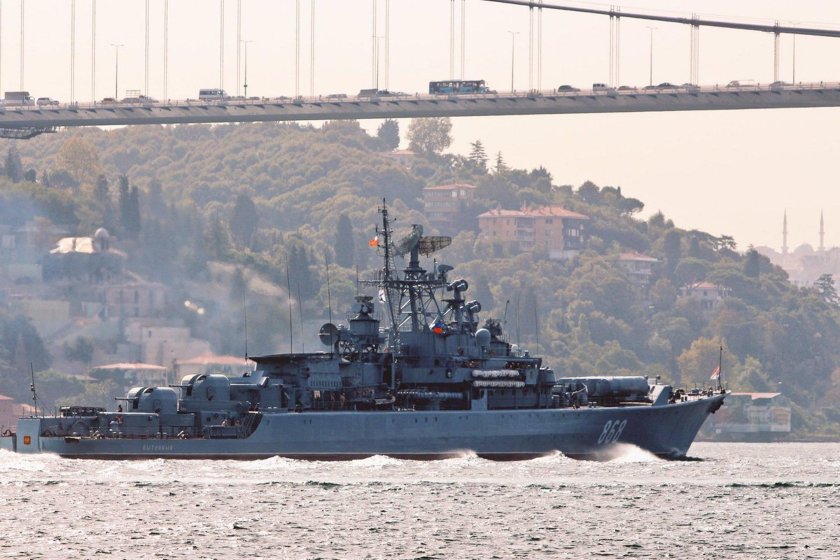 СКР пытливый