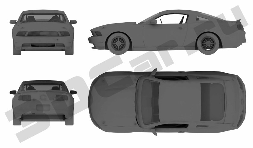 Ford Mustang Falken Team (2010)