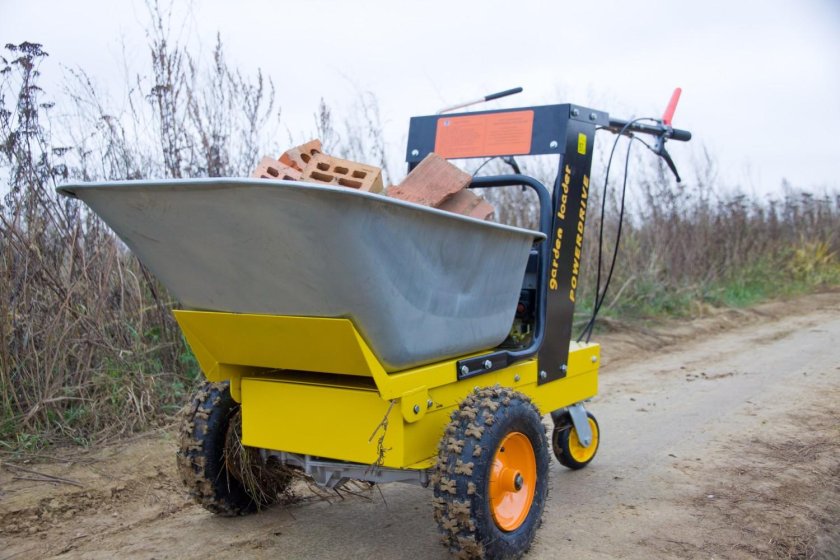 Мини-думпер Ant by-250a