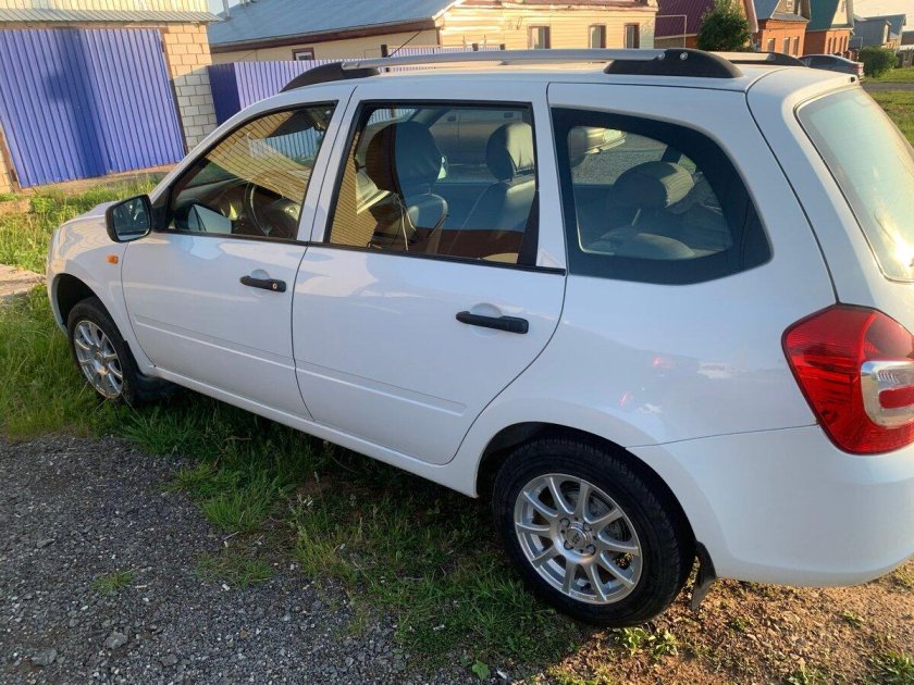 Калина универсал белого цвета