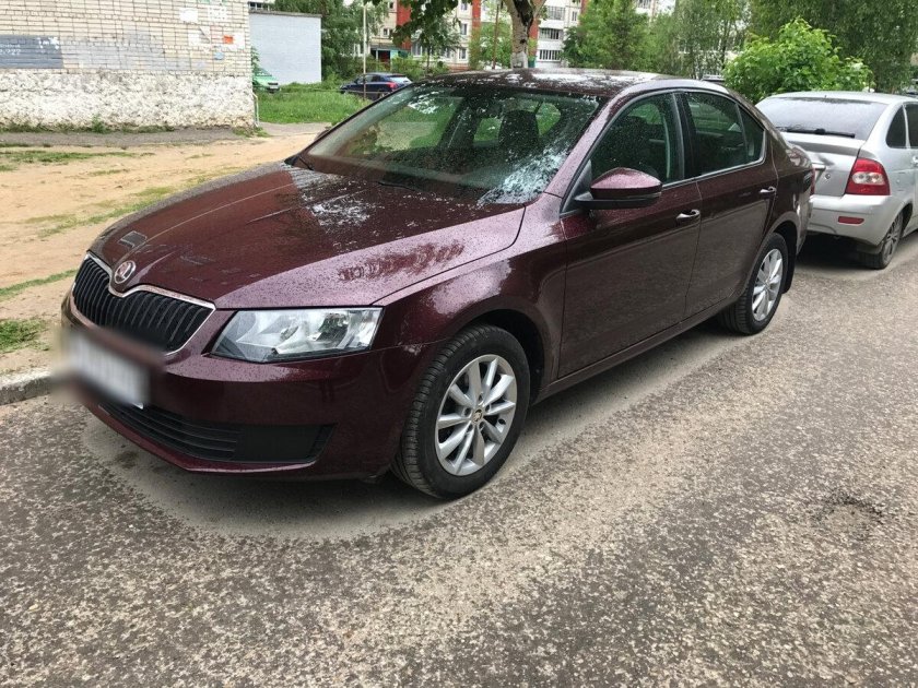 Skoda octavia 2013