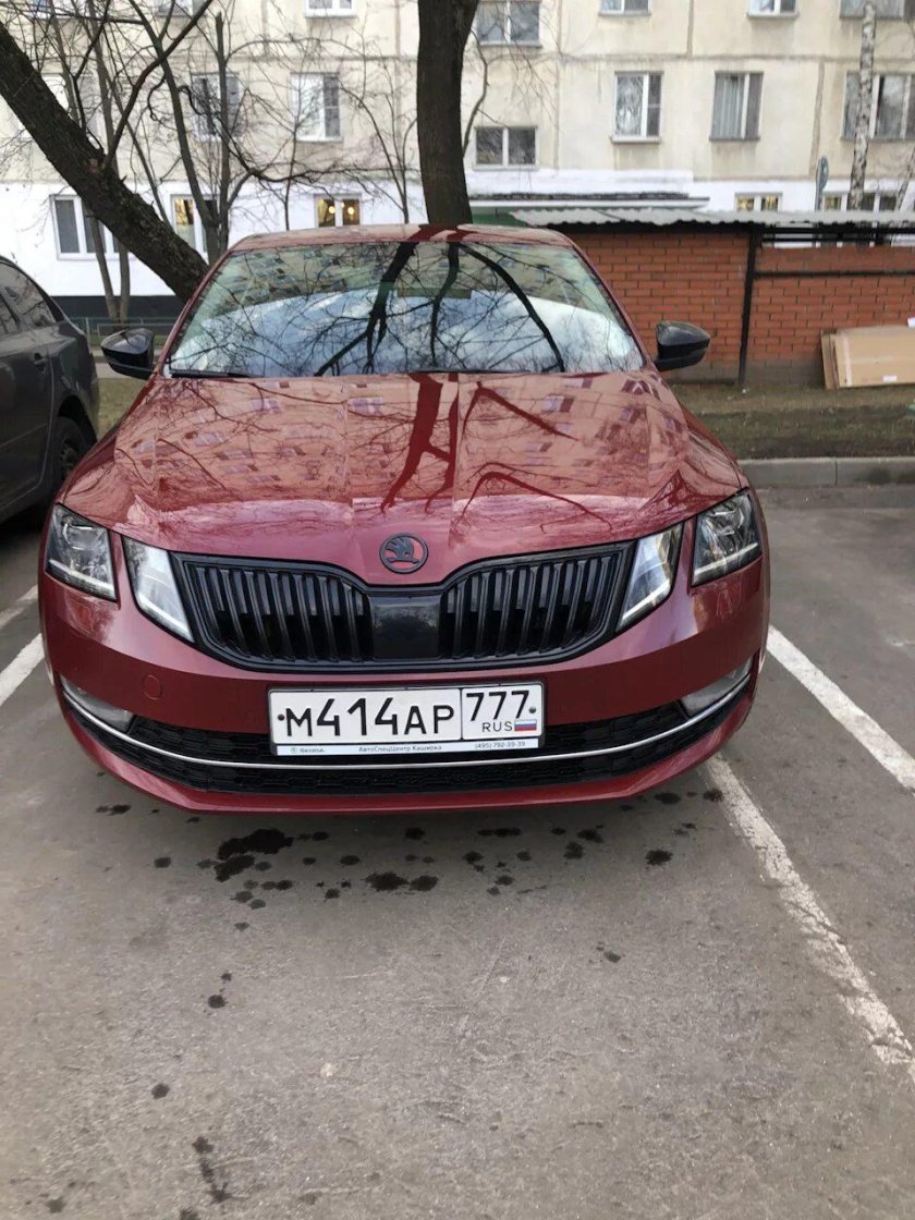 Октавия а5 Вишневая