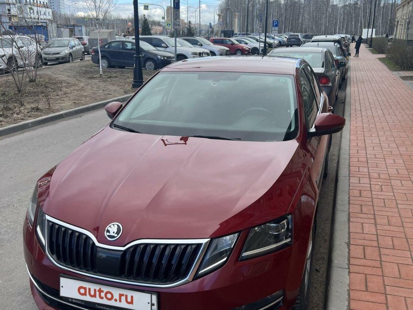 Skoda octavia 2019