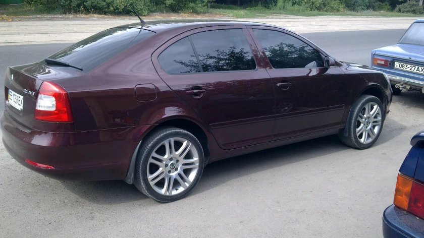 Бордовая Октавия а5