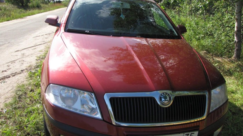 Октавия а5 Вишневая