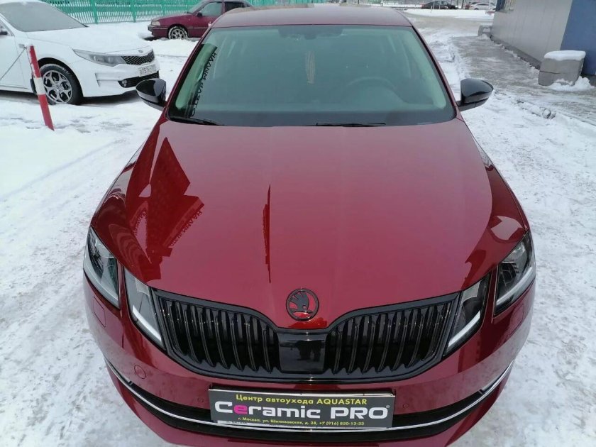 Шкода Вишневая