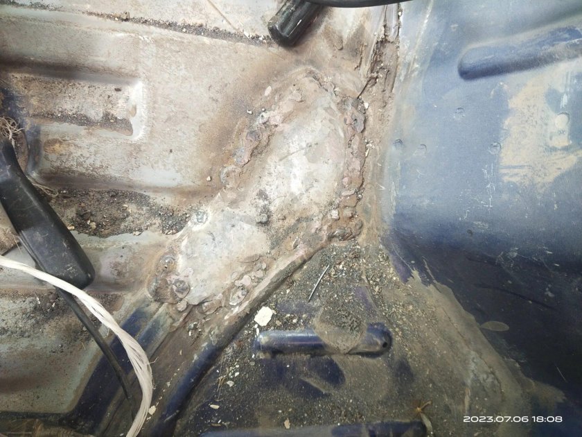 Дниша Грант виитара