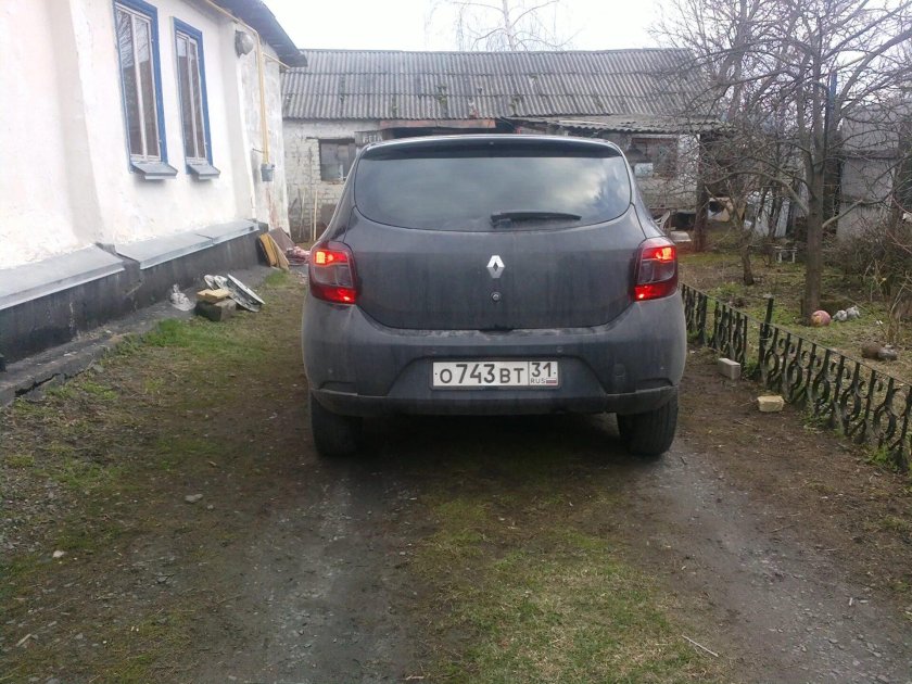 Renault Sandero сзади