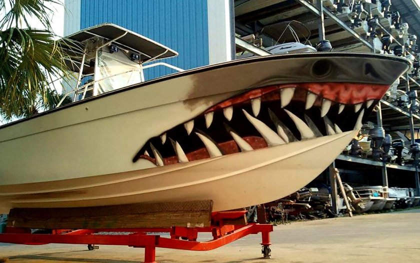 Расцветка катера