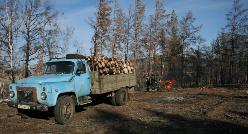 ГАЗ 53 хлебовозка