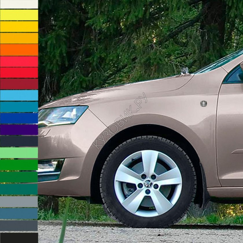 Шкода рапид 1