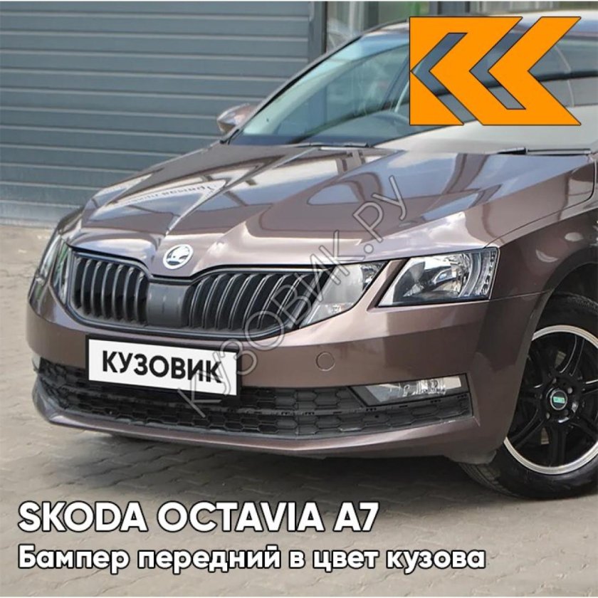 Шкода цвета кузова