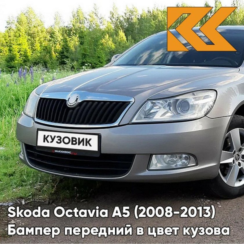 Шкода цвета кузова