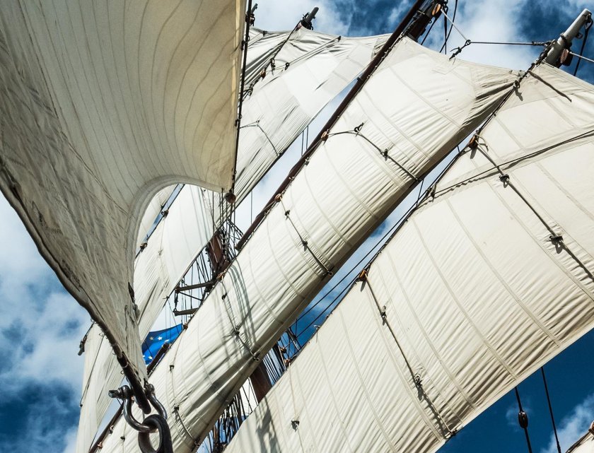 Паллада парусник