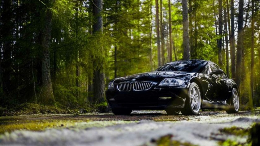 БМВ f90 в лесу