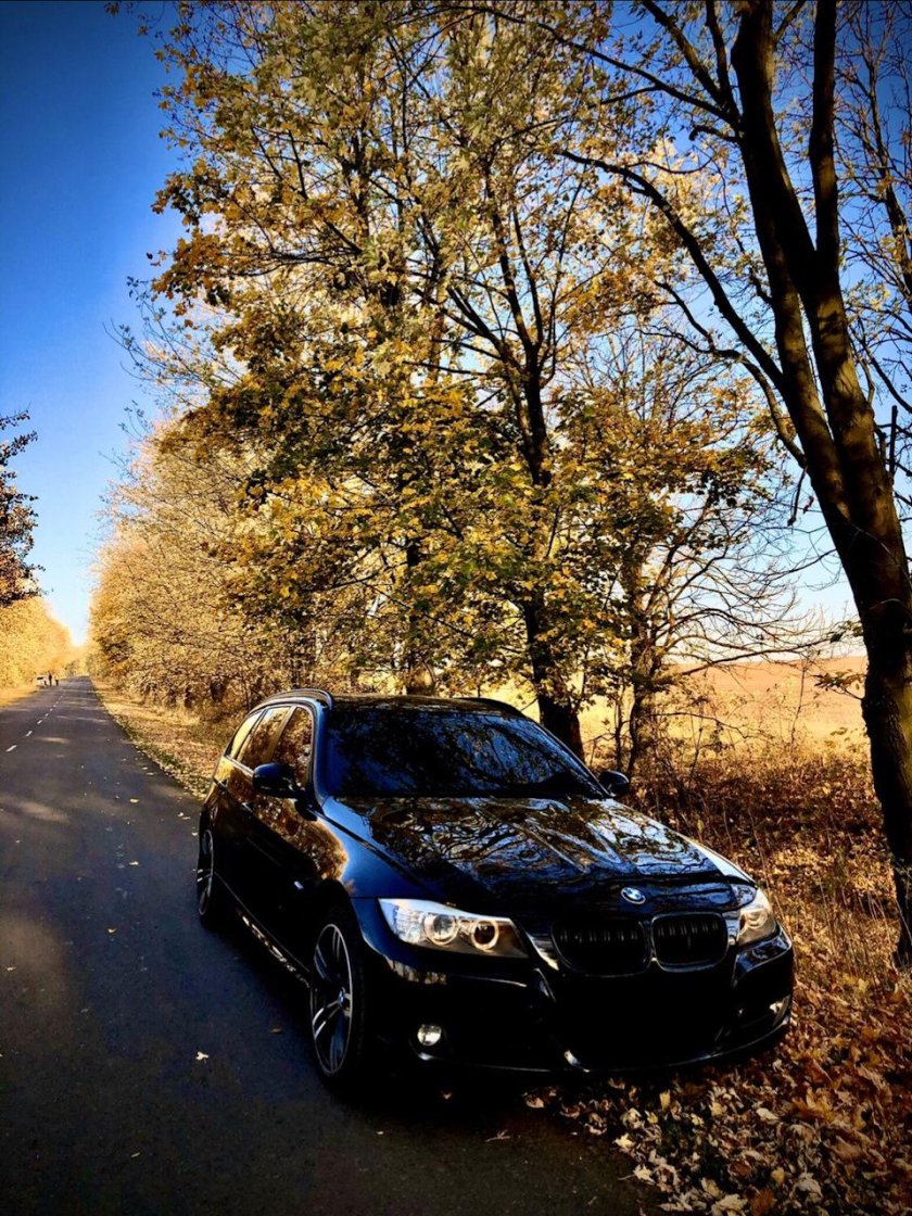 BMW x5 и осень