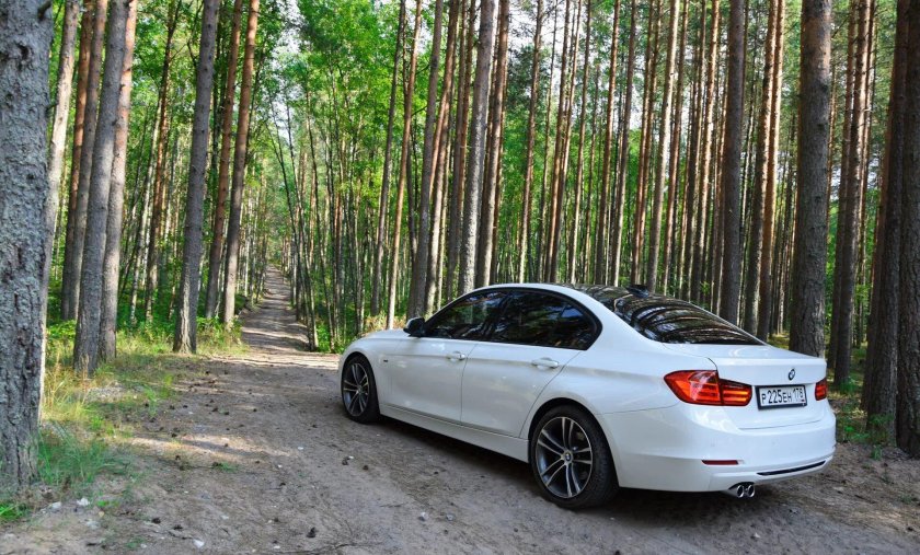 БМВ м5 в лесу