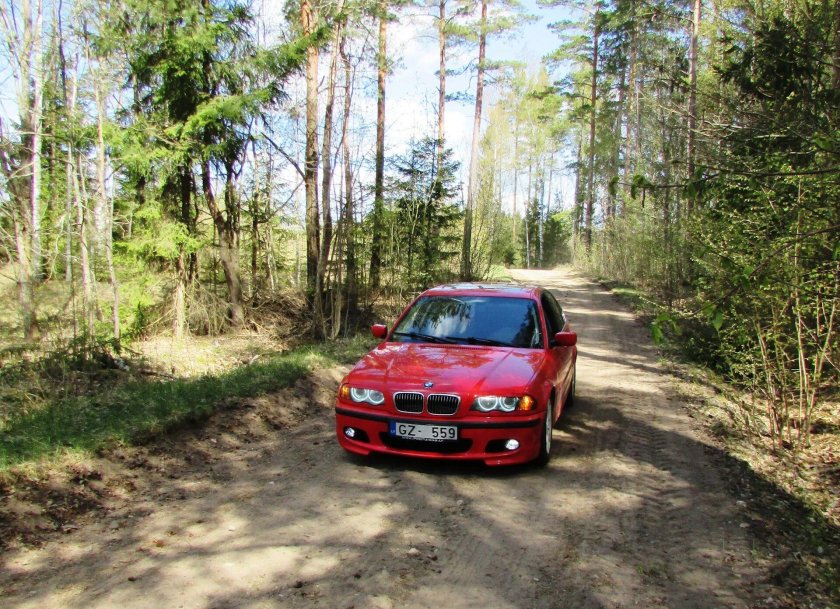 BMW на природе