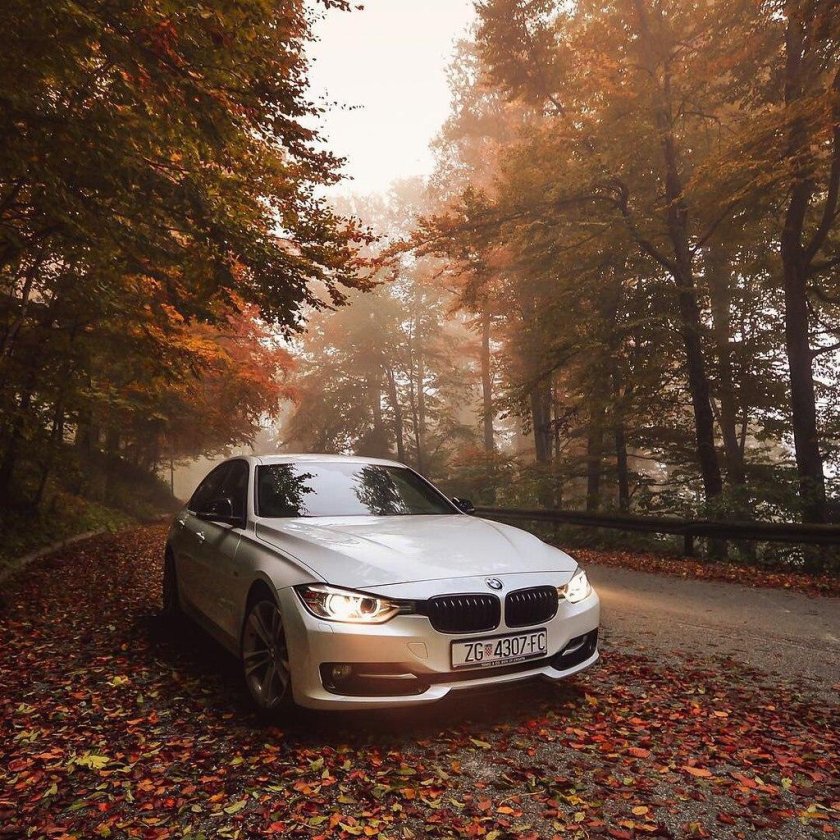 БМВ е60 в лесу