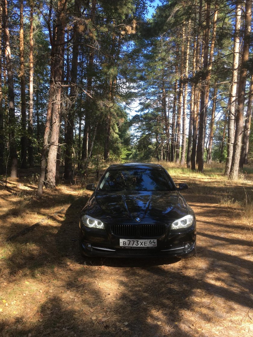 Иномарки на природе