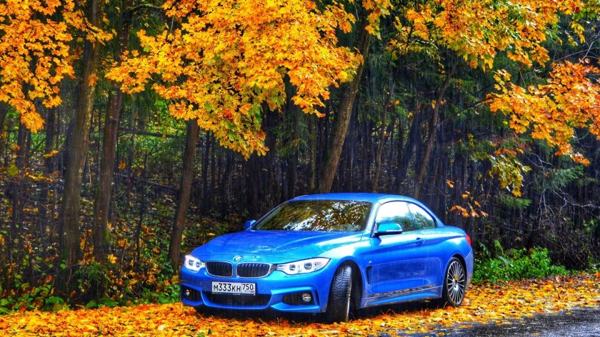 BMW f30 осень