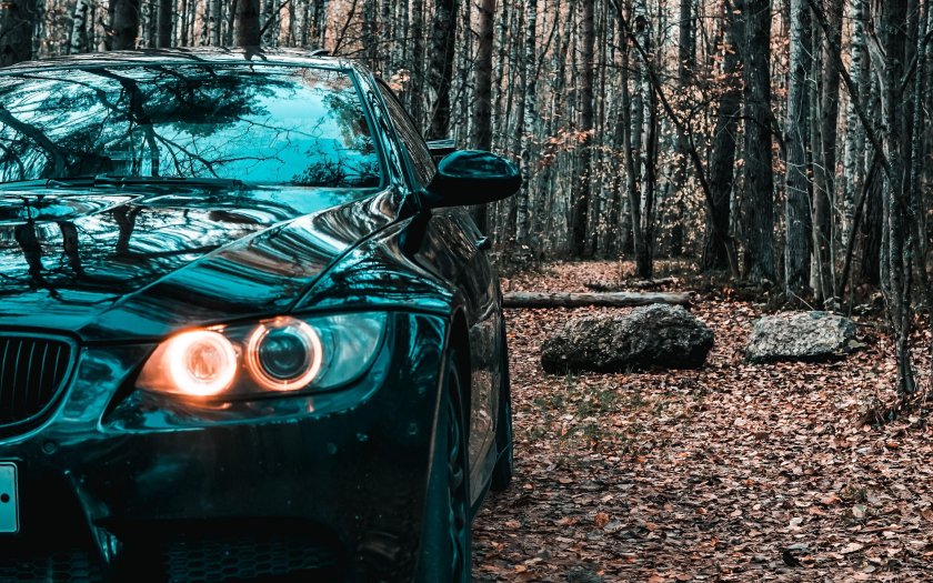 БМВ е60 в лесу