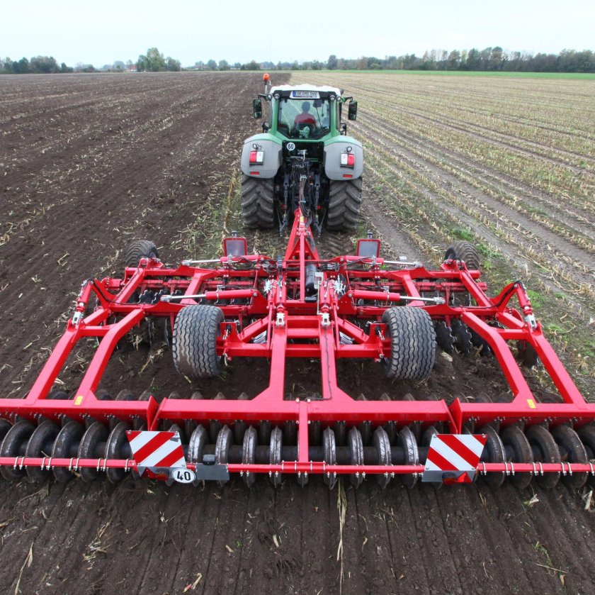 Хорш Джокер