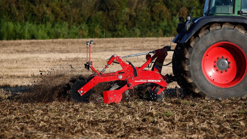 Хорш Джокер