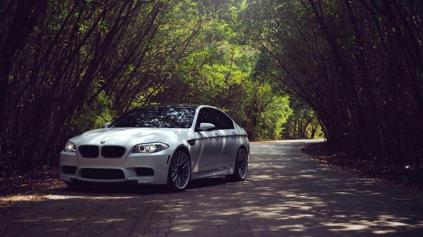 Bmw m 5 f 10 белая