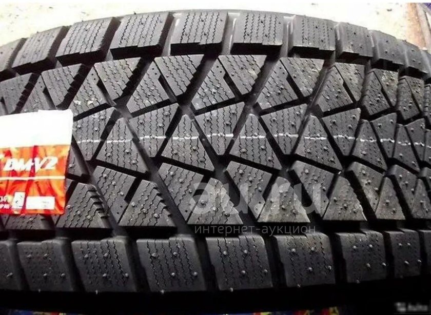 Bridgestone Blizzak DM-v2