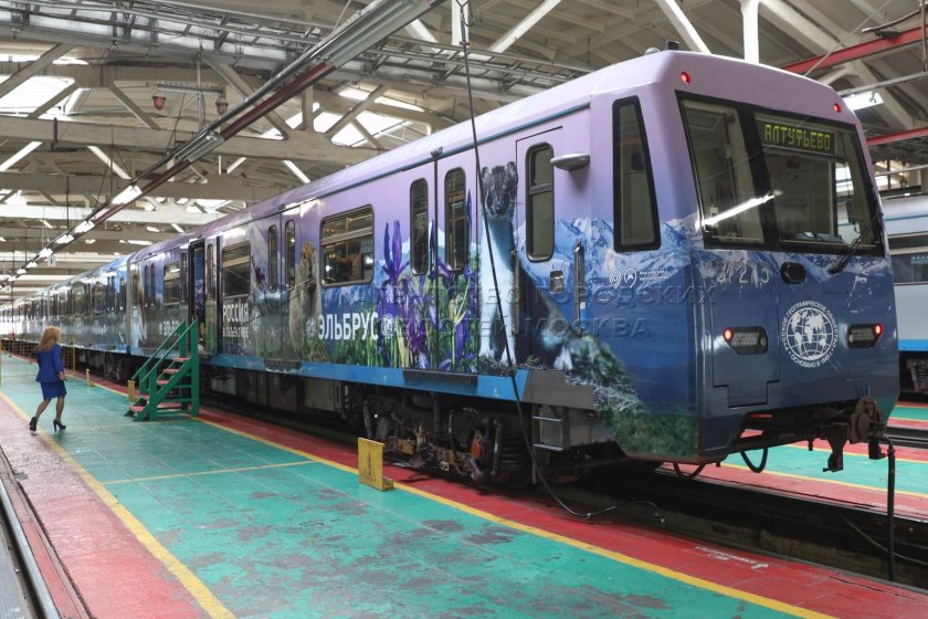 Поезд метро плехановец