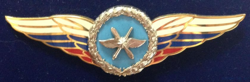 Нагрудные знаки ВВС ВКС МО РФ