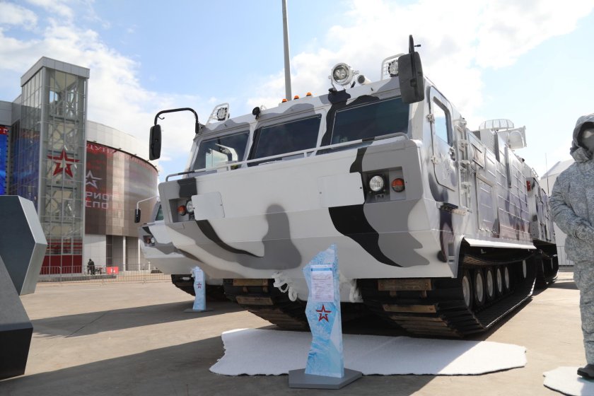 Тор Арктический