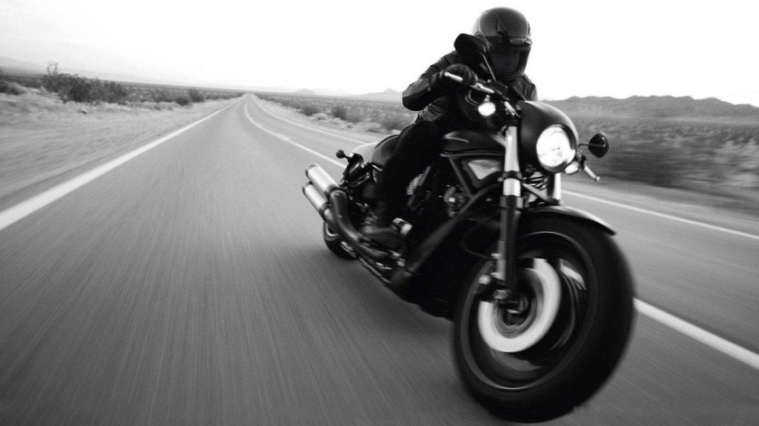 Harley davidson v rod