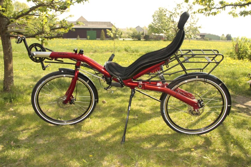 Ринцлер лигерад