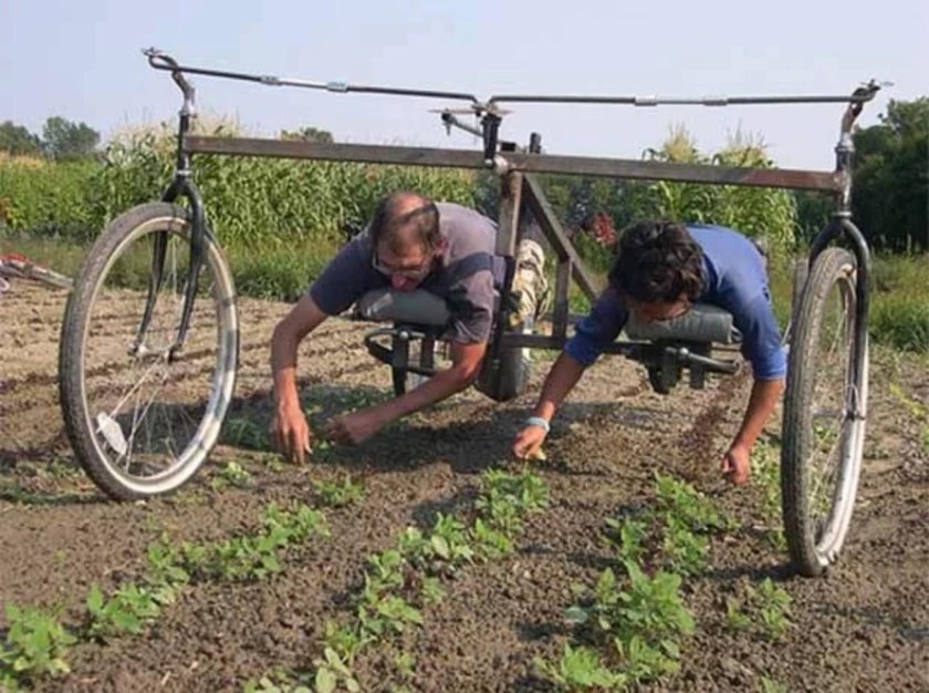 Тележки для прополки огородов