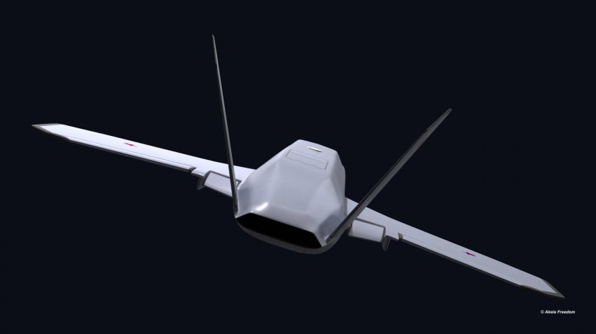 БПЛА Валькирия