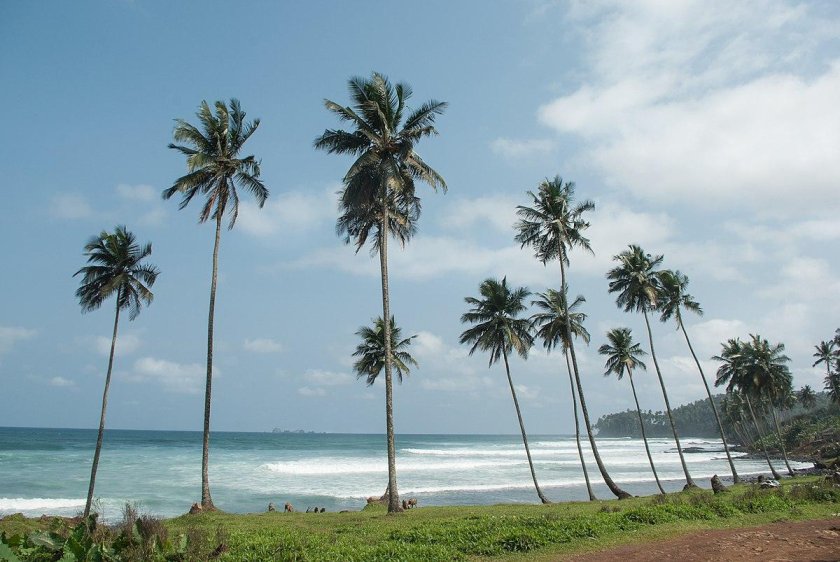 Сан-томе и Принсипи