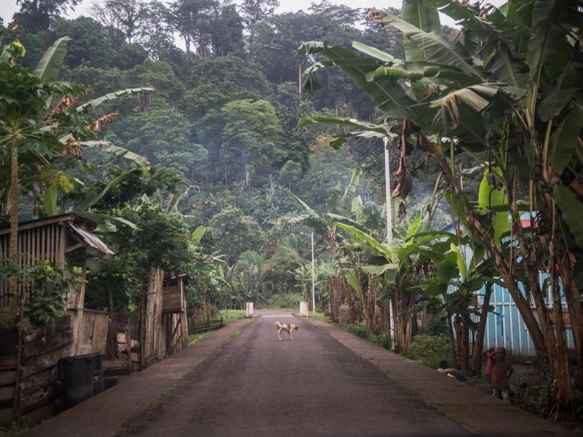 Сан-томе и принсипи